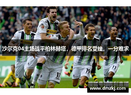 沙尔克04主场战平柏林赫塔，德甲排名受挫，一分难求