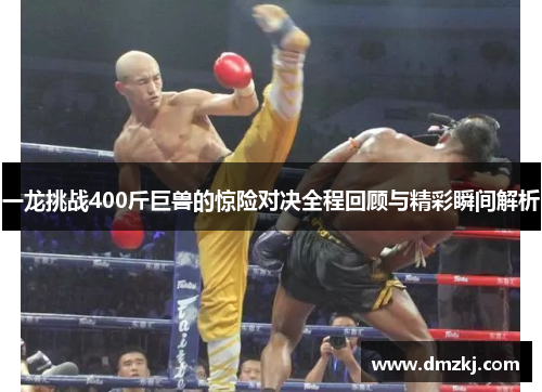 一龙挑战400斤巨兽的惊险对决全程回顾与精彩瞬间解析