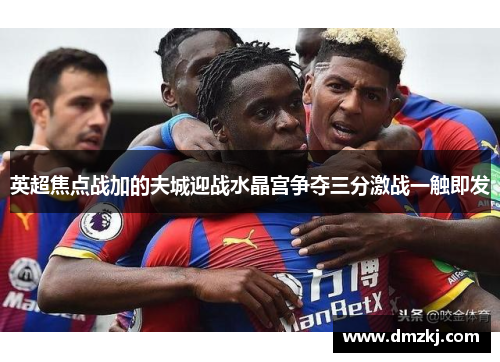 英超焦点战加的夫城迎战水晶宫争夺三分激战一触即发